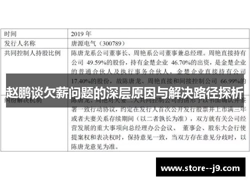赵鹏谈欠薪问题的深层原因与解决路径探析